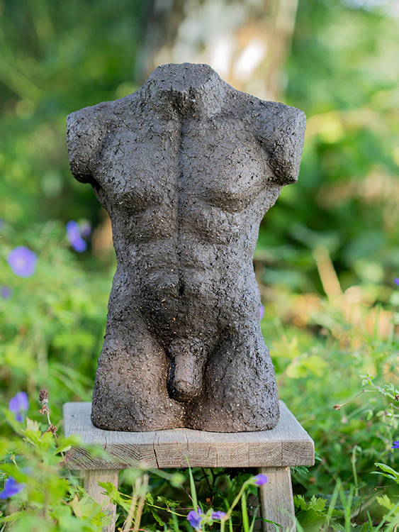 Torso man, bruin