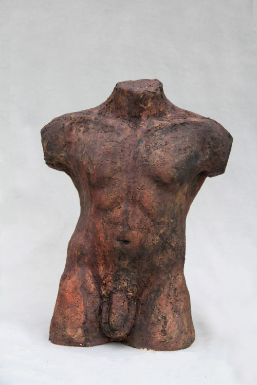 Torso man, rood bruin